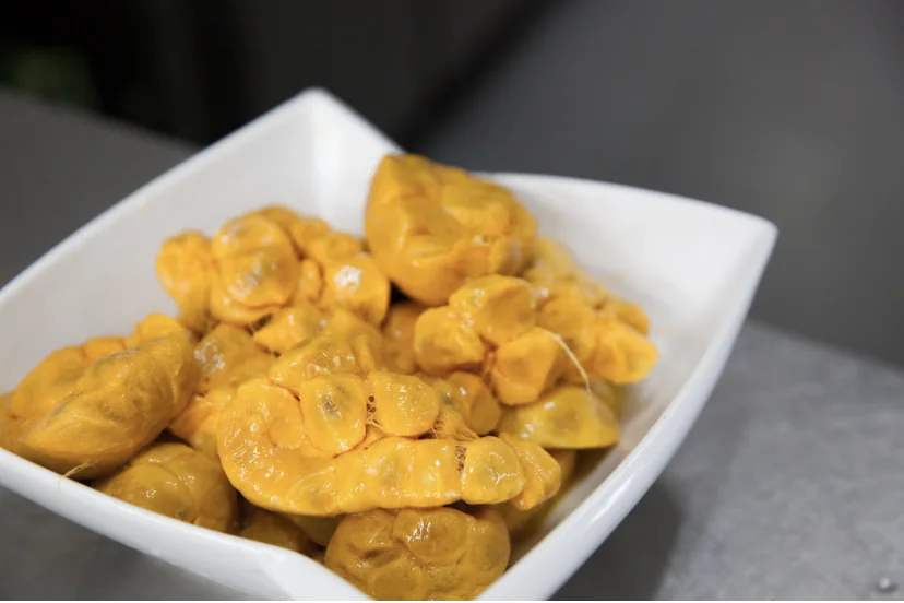 Real golden madd pulp separated from the fresh fruit