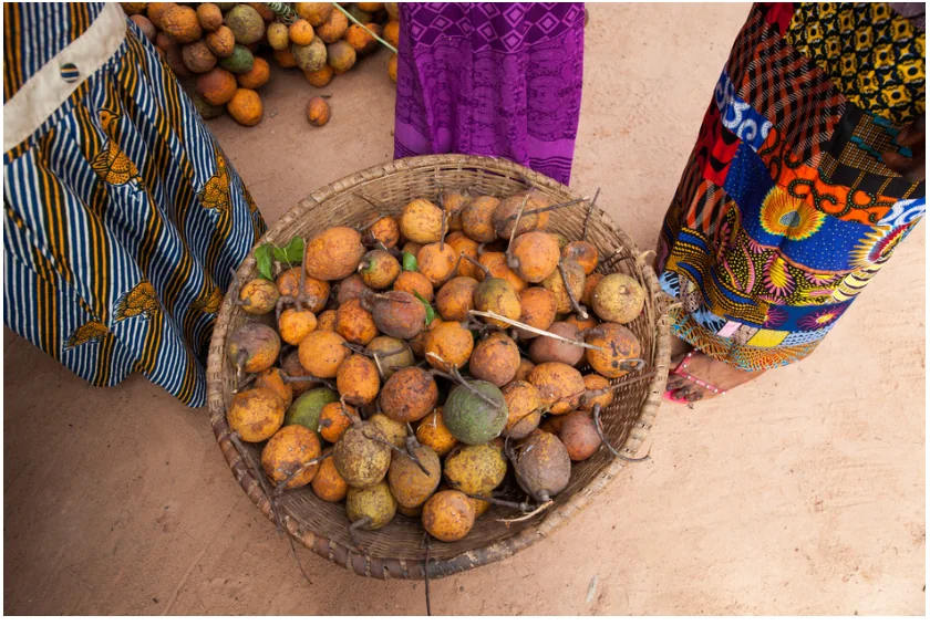 Madd fruit in a woven basket in Casamance